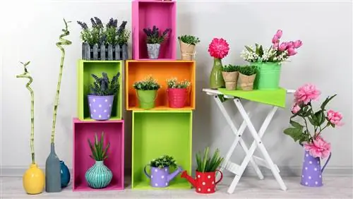 На цветочной подставке с растениями в горшках