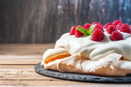 жалюзи 487551601