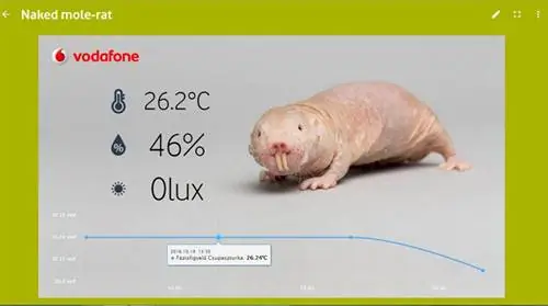 Голый Интернет вещей Туркало