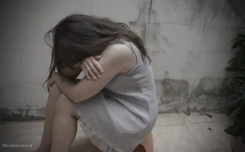 жалюзи 417148009