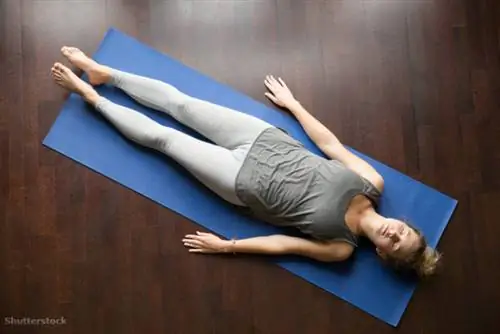 жалюзи 488817220