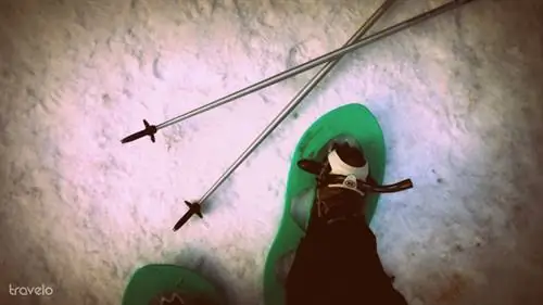 Снегоступы