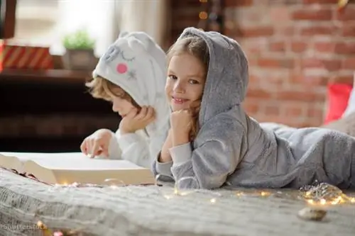 затвор 512496241