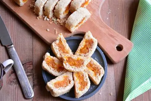 Пятничное печенье: туннельное печенье из сушеных абрикосов