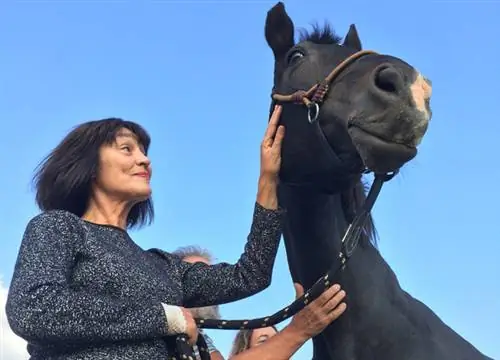 Как лошадь сюда попала? Читать дальше!