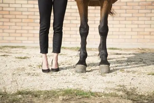 Родной день - отличная практика для женщин-лидеров