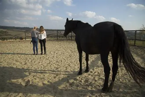 Фото последнего задания, которое мы сделали - больше не буду рассказывать