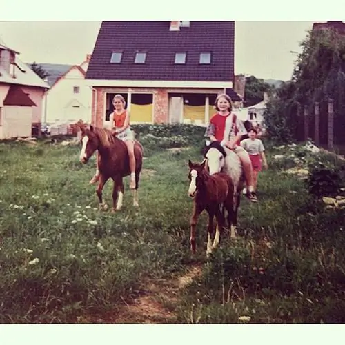 10417628 10155611842590398 7019720492120109526 н