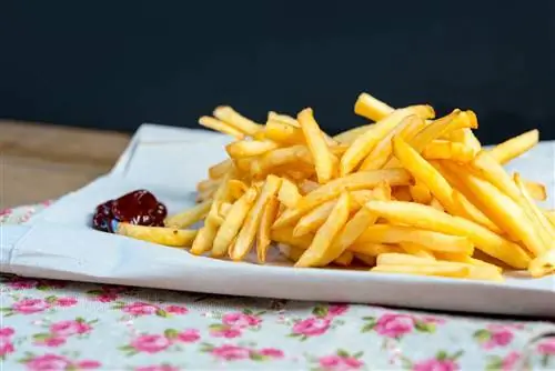 Вот как снова можно есть размокший картофель фри