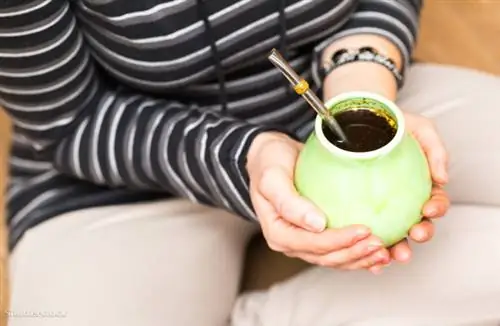 затвор 531432259