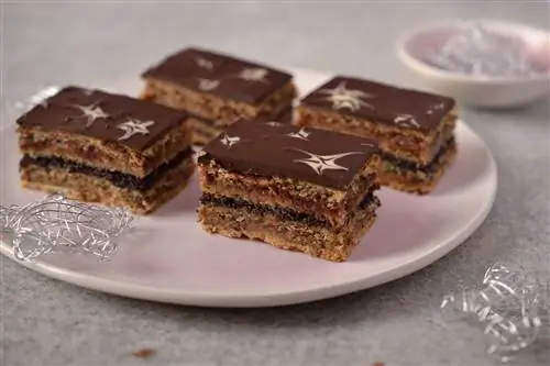 Рождественский почти-тушканчик