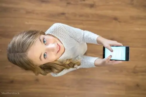 жалюзи 529175527