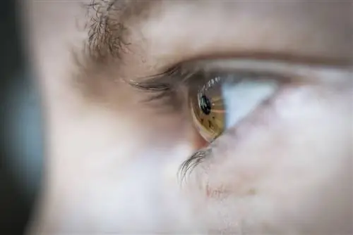 Тест: на что способны сыворотки для наращивания ресниц?