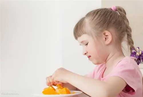 жалюзи 277592918