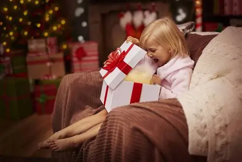 Подарки на Рождество для детей из христианских семей