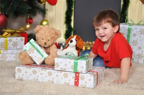 затвор 538343986