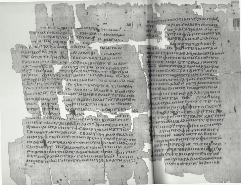 Некоторые ученые говорят о составителе, а не об авторе, который мог также записать некоторые учения непосредственно из апостольской проповеди, будь то в Сирии или Египте