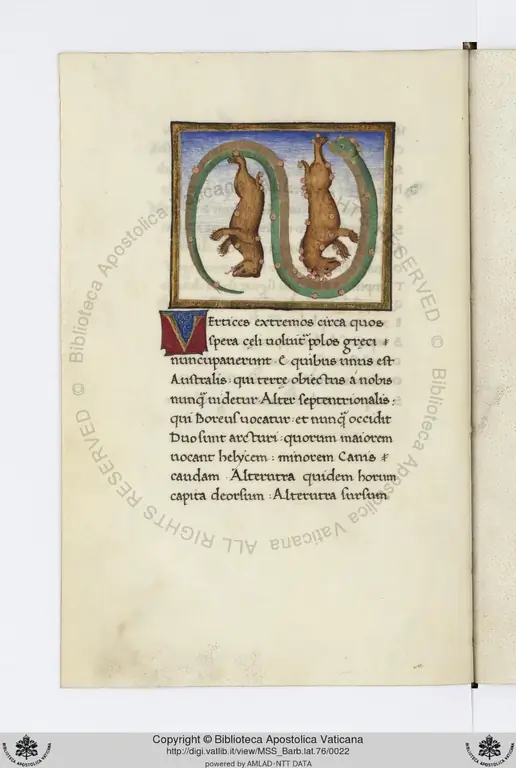 Это было в 1451 году, когда папа Николай V, сам известный библиофил, попытался восстановить Рим как академический центр мирового значения, построив относительно скромную библиотеку из более чем 1200 томов