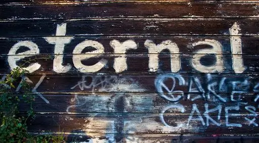 Что значит быть созерцателем посреди мира