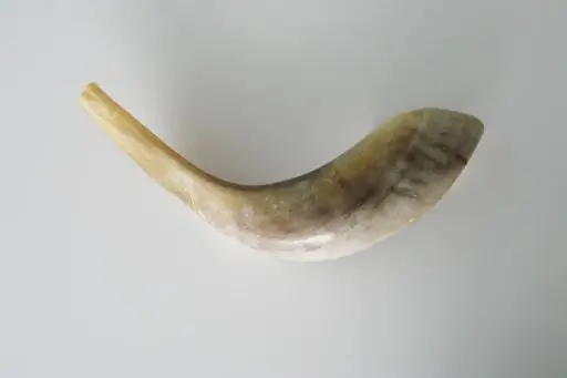 День, когда Бог сотворил Адама: Рош ха-Шана начинается на закате