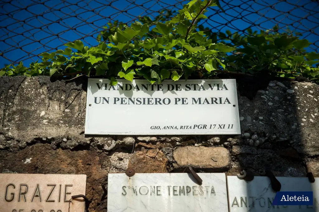 Богоматерь Неустанной Помощи - MD008