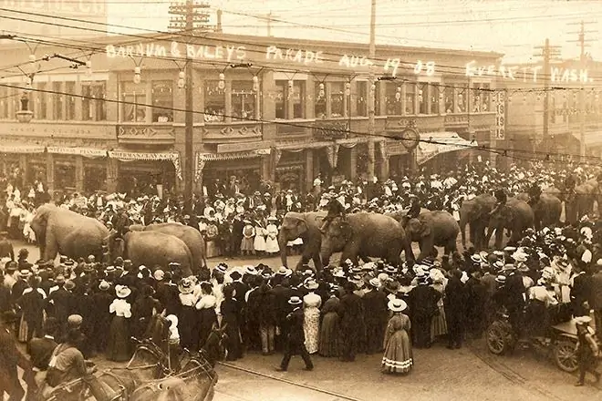 Цирк братьев Ринглинг