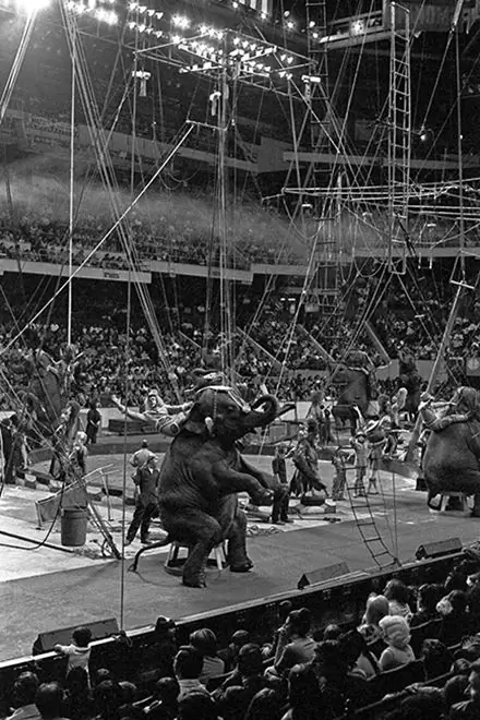 Цирк братьев Ринглинг