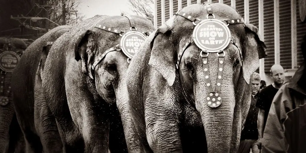 Скорбя о смерти цирка, величайшего семейного шоу на земле