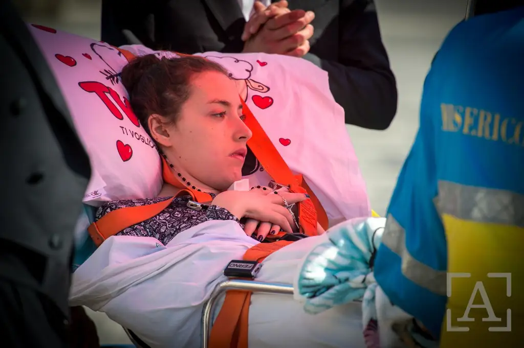 Общая аудиенция Папы Франциска 31 мая 2017 г