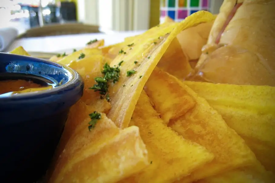 WEB-PLANTAIN-PLANTANOS-CHIPS-FOOD-MEXICO-Silus-Grok-CC