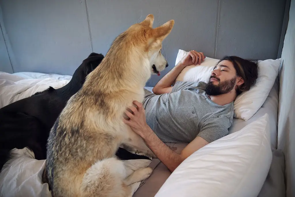 Молодые мужчины и женщины больше живут дома, чем женятся, Pew Shows