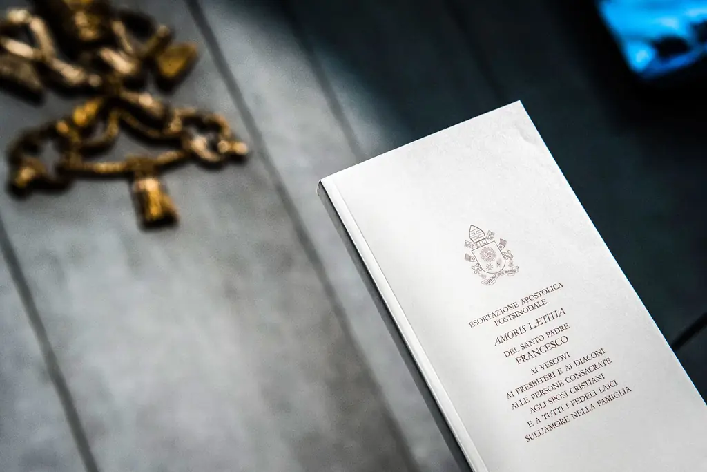 Быстрые выводы и лакомые кусочки от Аморис Летиция