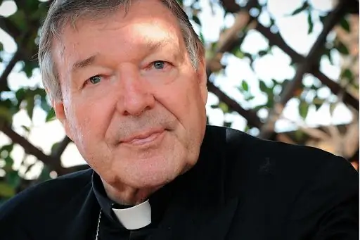 Pell's: Книги по просочившимся документам содержат «ложные и вводящие в заблуждение утверждения»