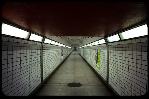 Худшая субгуманистическая идеология: утопический коллективизм