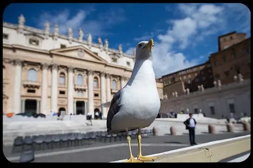 Папа Франциск проповедует Евангелие нехристианам с Laudato Si'