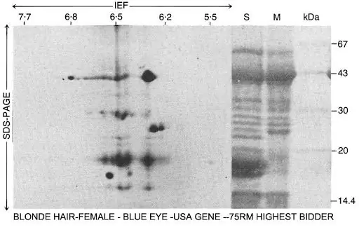 Забудьте о конфиденциальности в Интернете, а как насчет генетической конфиденциальности?
