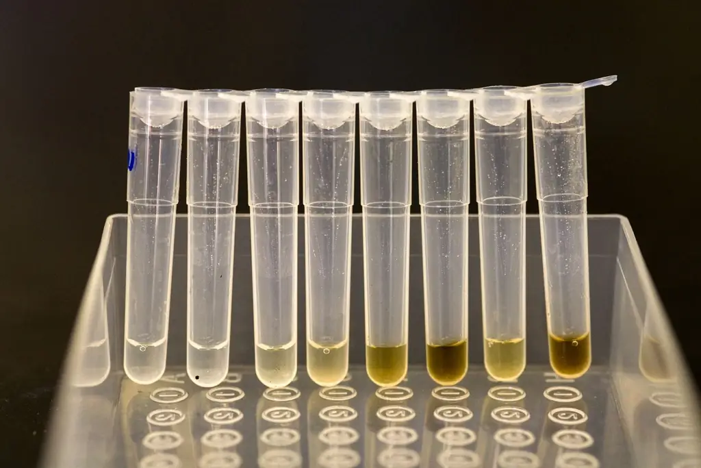 Вашингтонский саммит по биоэтике рассматривает этику редактирования генов