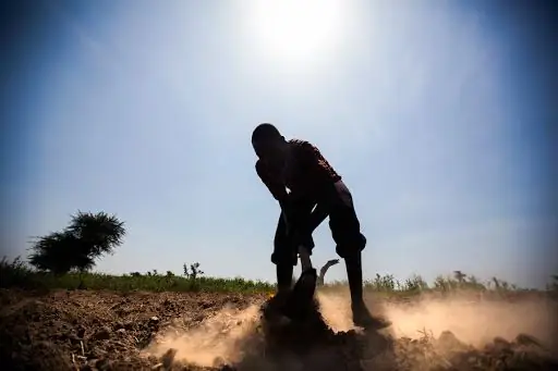 Христос приходит в Южную Африку