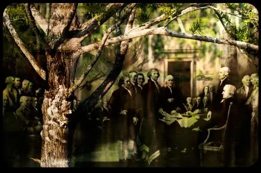 Наша декларация дрейфует