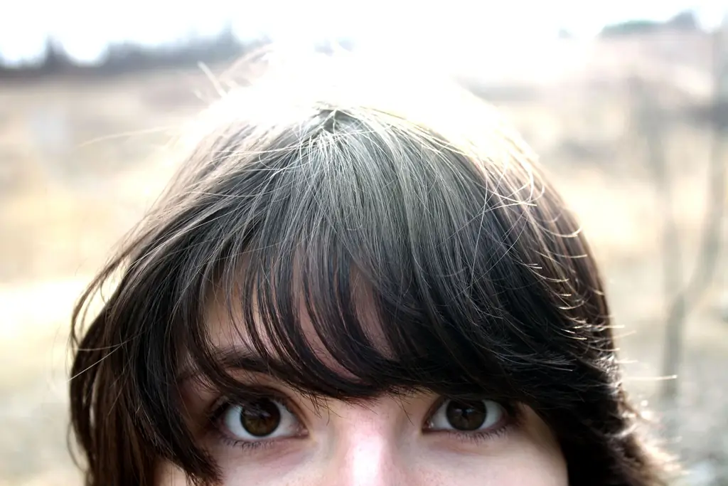 Francis' Визит заставил меня пересмотреть себя, и я не уверен, что мне нравится то, что я вижу