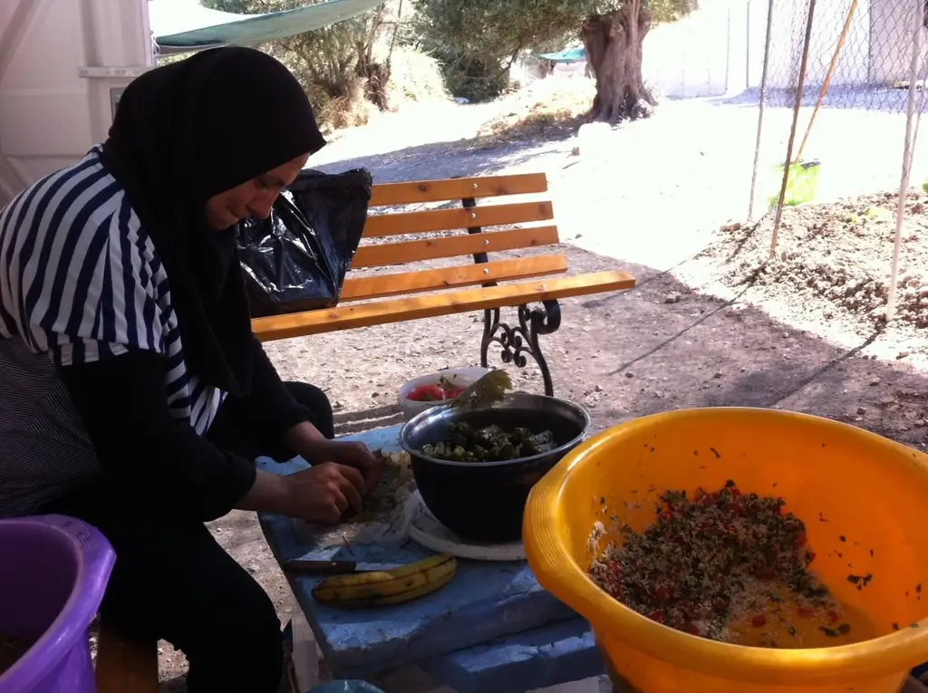 Скручивание виноградных листьев / Эдвард Малхолланд