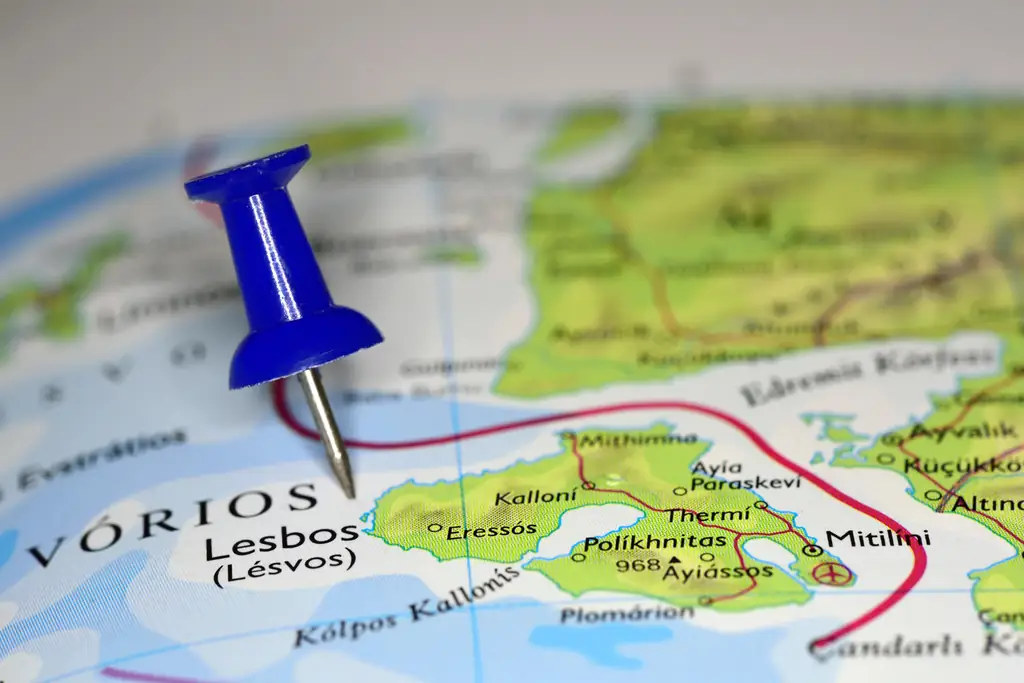 Отъезды и возвращения домой: Потеря дома и идея дома