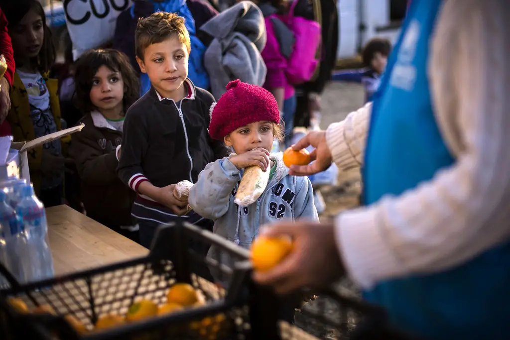 Лица в лесбосской толпе: Истории, которые вы не пожелали бы своим врагам'