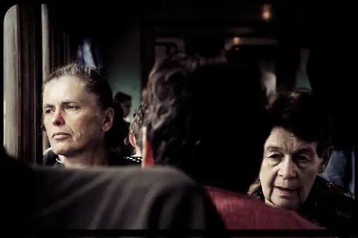 Украина, Янус Европы