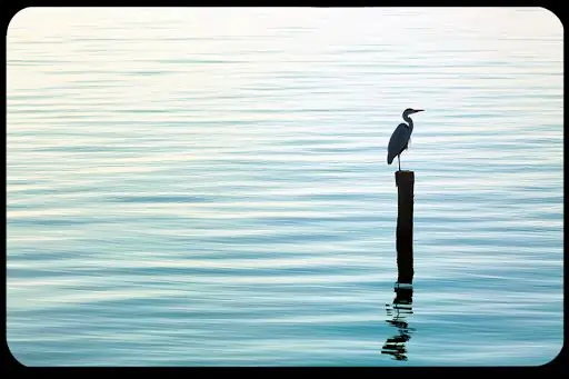 7 удивительных способов, которыми энциклика Папы Франциска призывает вас измениться