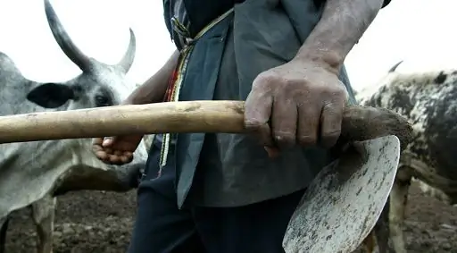 Бангладеш в беде, если глобальное потепление продолжится, как прогнозируется