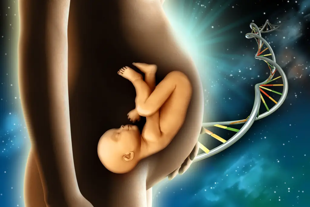 WEB-IN-THE-WOMB-АНДРЕА-ДАНТИ-SHUTTERSTOCK