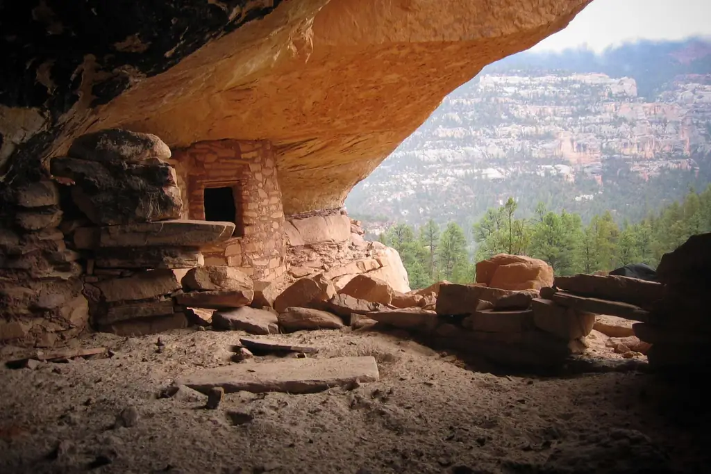 Пост чувствует себя вялым? Может быть, тебе стоит отправиться в пустыню