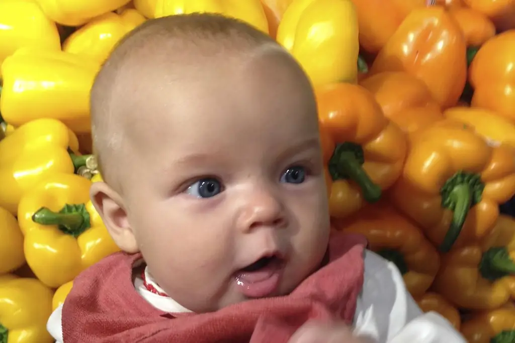 Антония Санктус