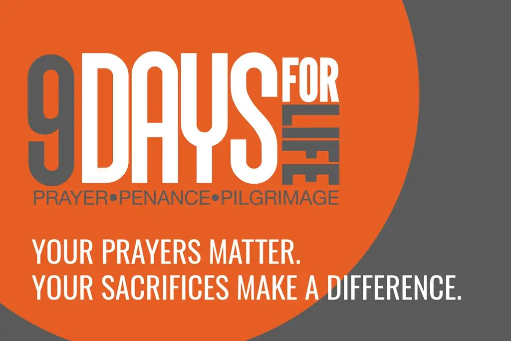 Наши епископы приглашают ВАС совершить цифровое паломничество: 9 дней на всю жизнь